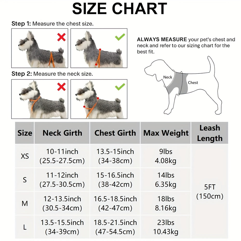 Leo's Harness and Leash Set