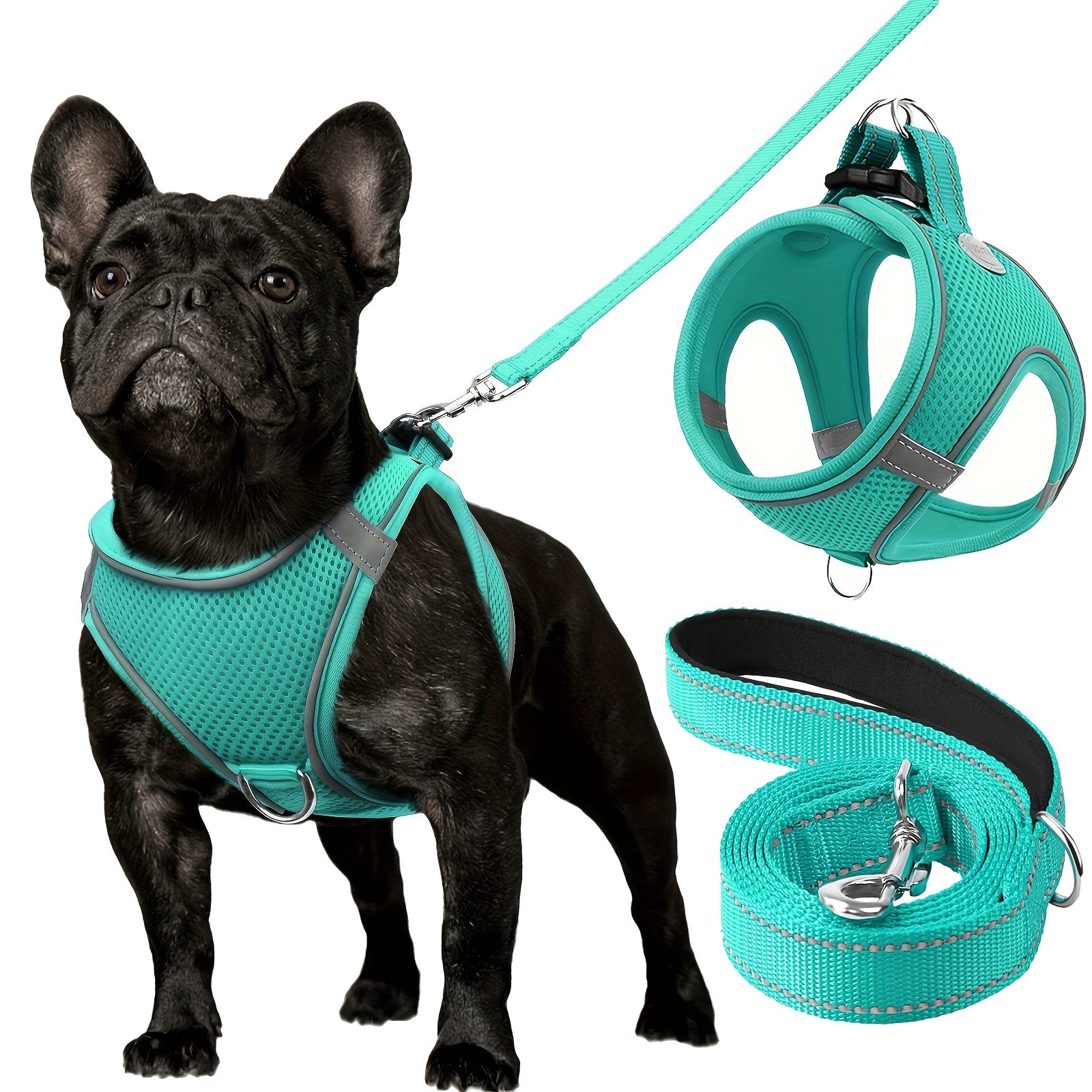 Leo's Harness and Leash Set
