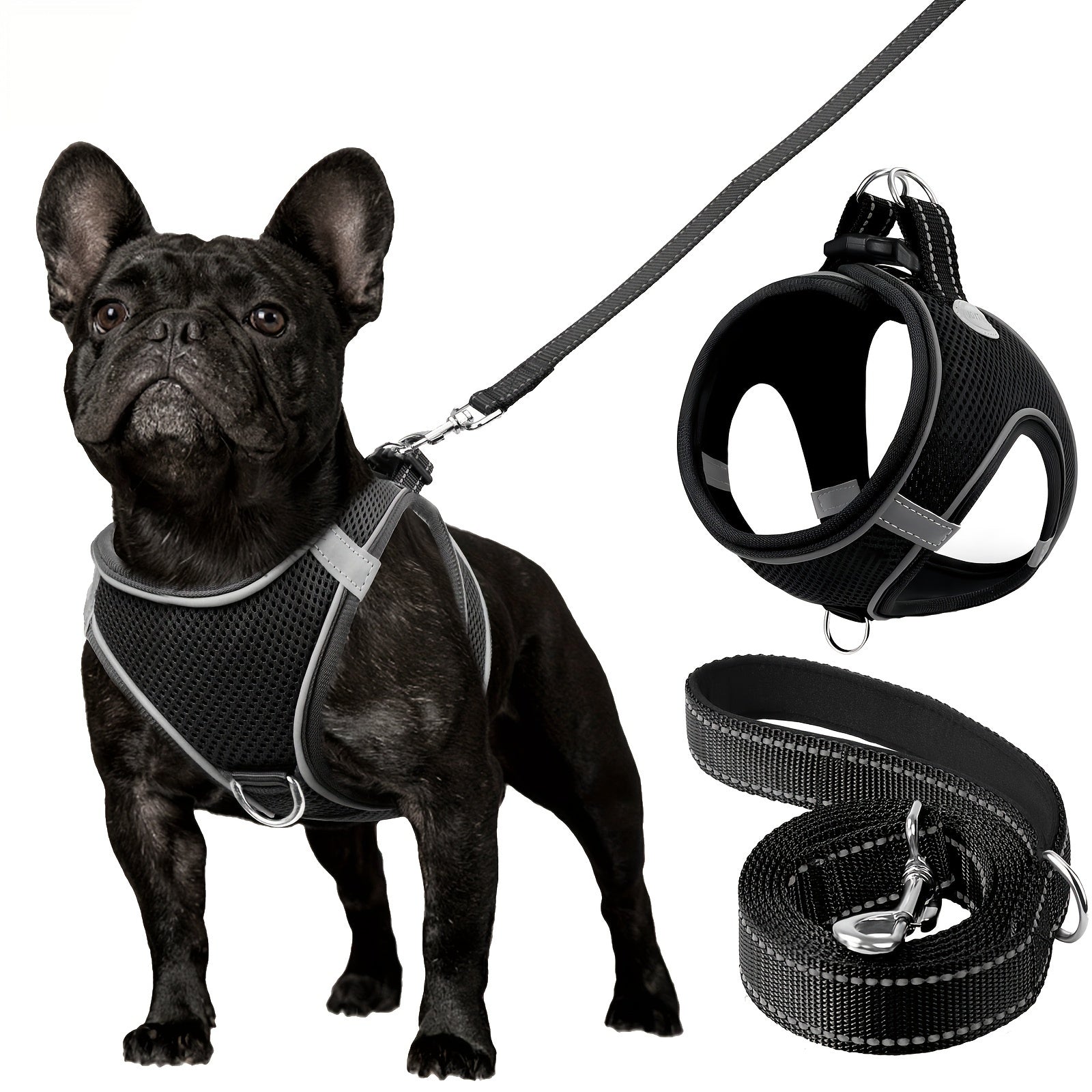 Leo's Harness and Leash Set