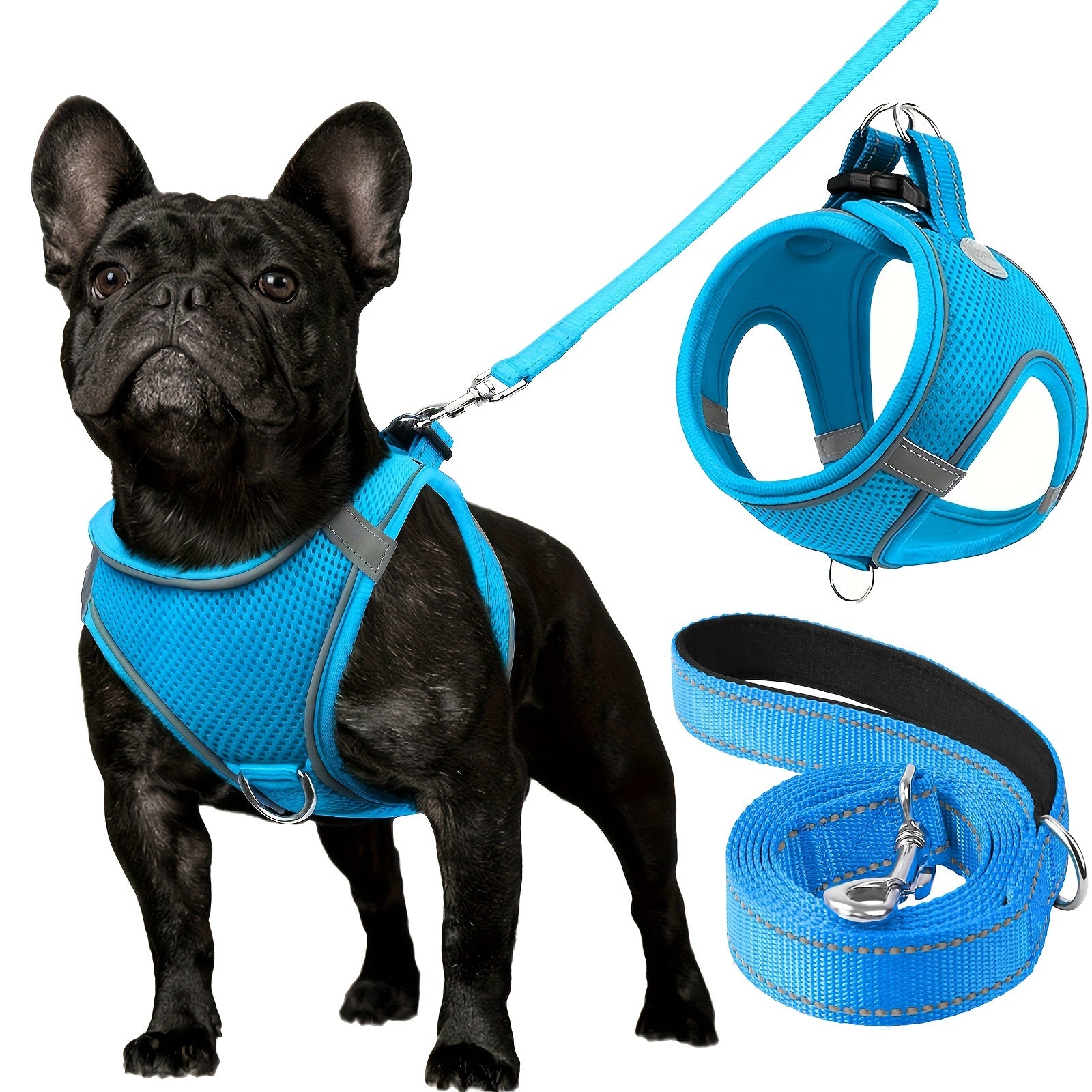Leo's Harness and Leash Set