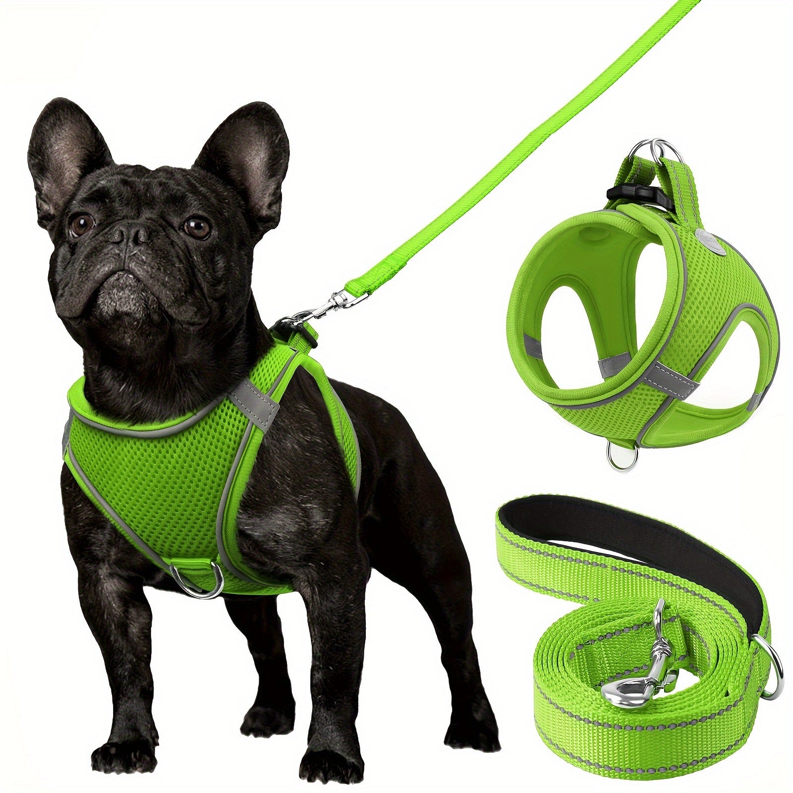 Leo's Harness and Leash Set