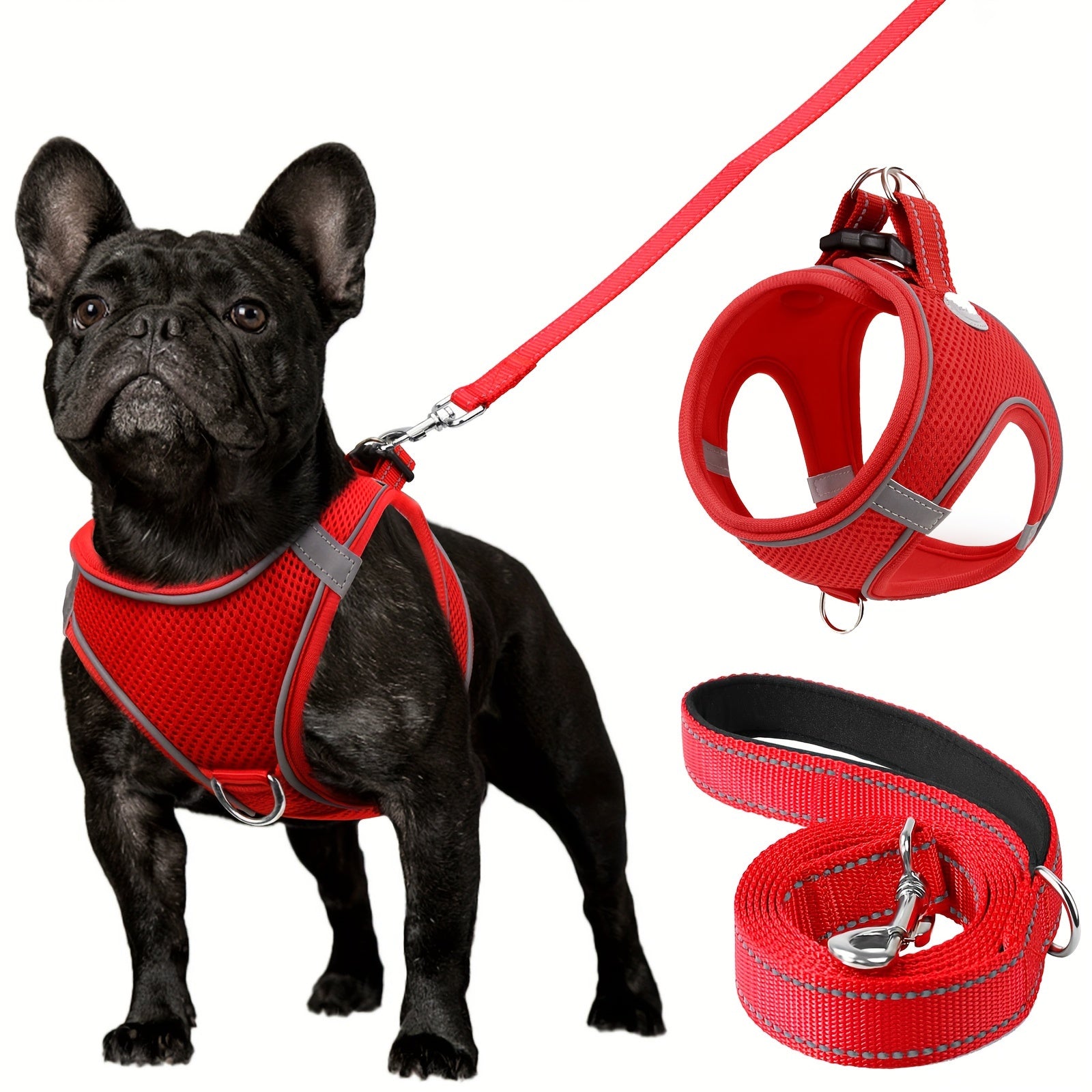 Leo's Harness and Leash Set