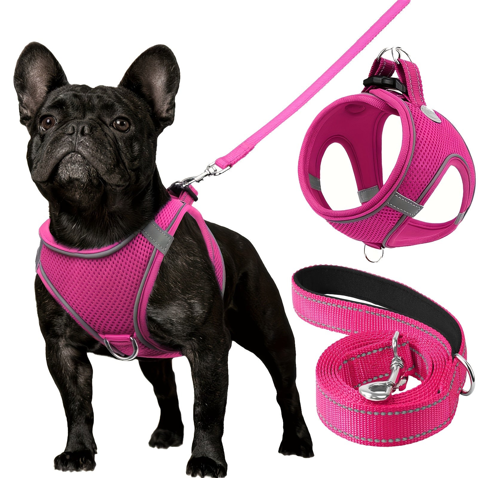 Leo's Harness and Leash Set