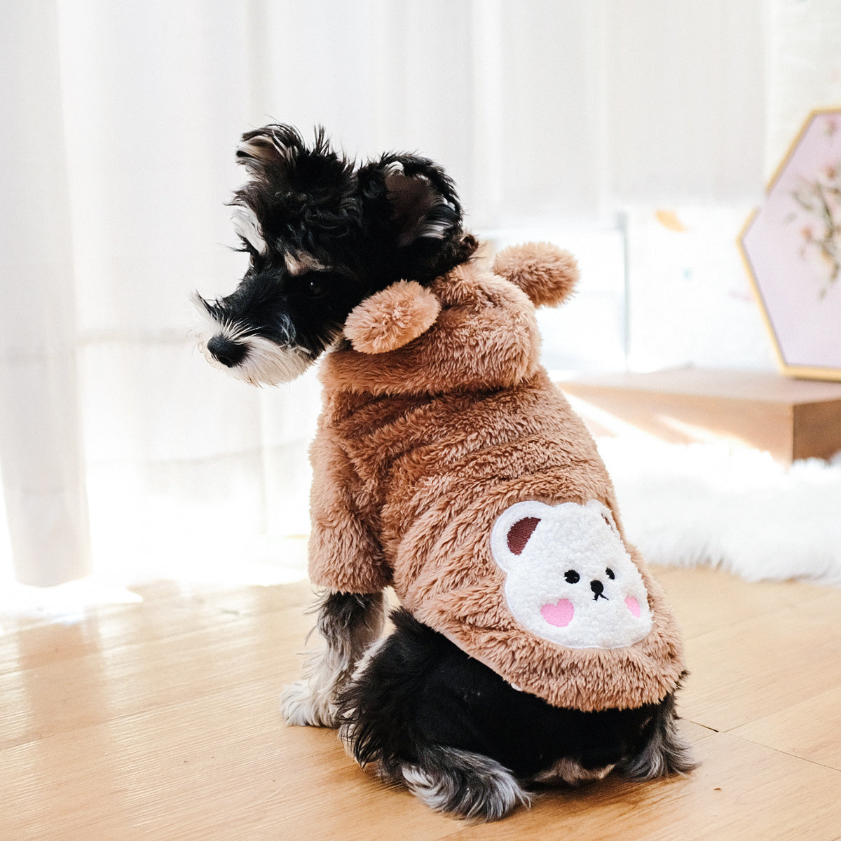 Warm Teddy Bear Pet Costume