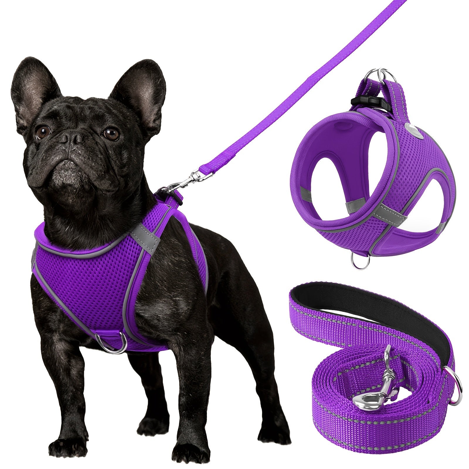 Leo's Harness and Leash Set