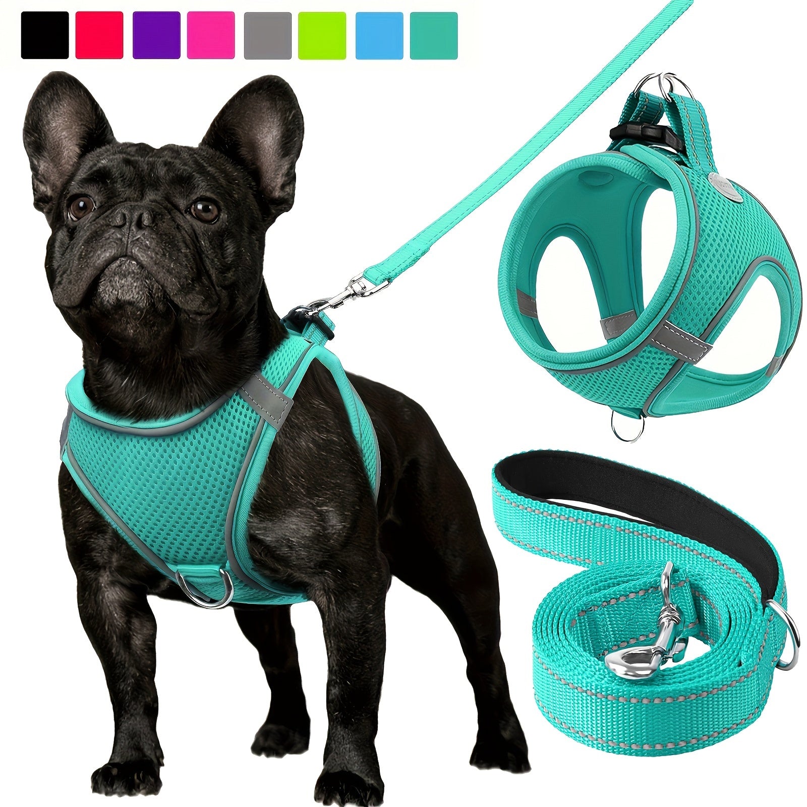 Leo's Harness and Leash Set