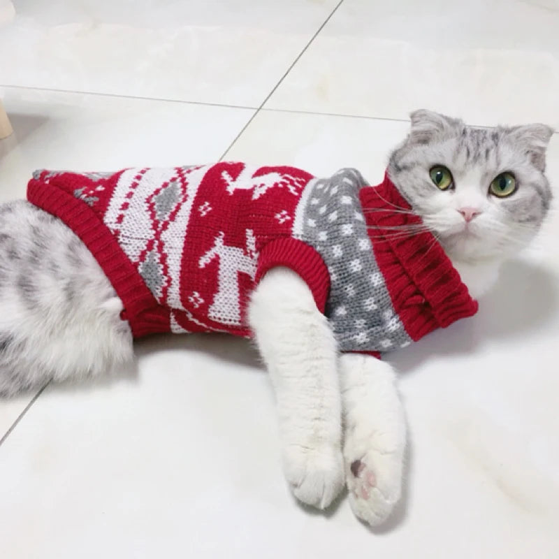 Sasha's Winter Sweater