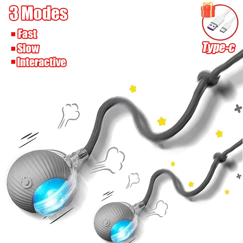 Kitty's Favorite Toy