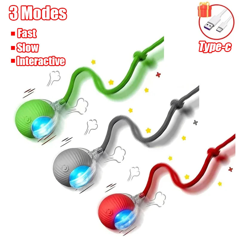 Kitty's Favorite Toy