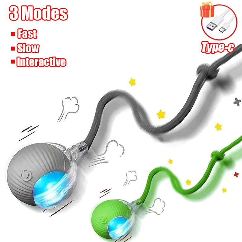 Kitty's Favorite Toy