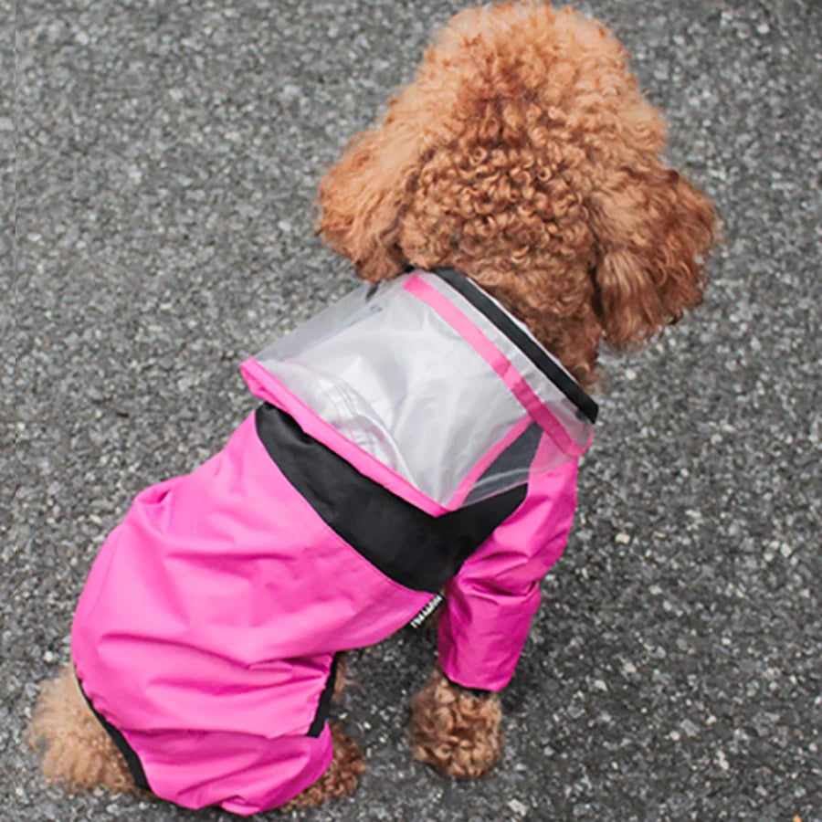 Peanut's Raincoat