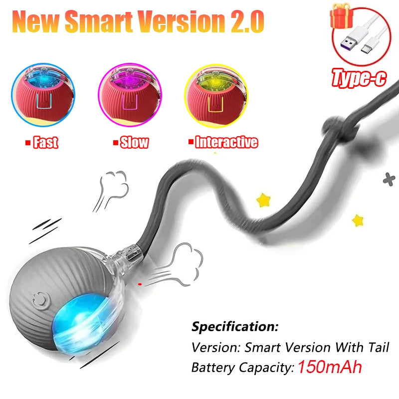 Kitty's Favorite Toy