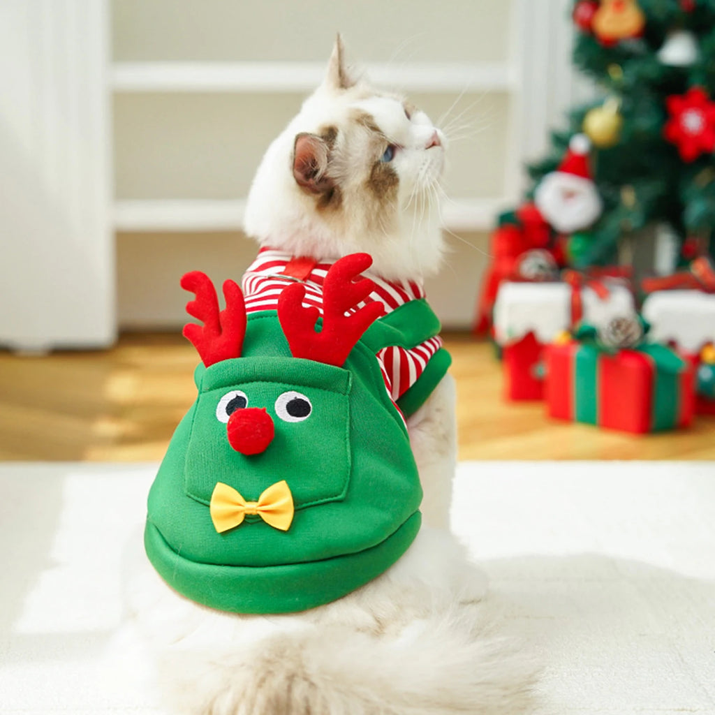 Elk's Favorite Costume