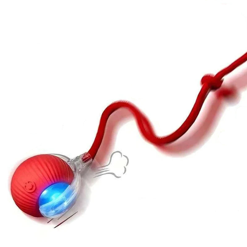 Kitty's Favorite Toy