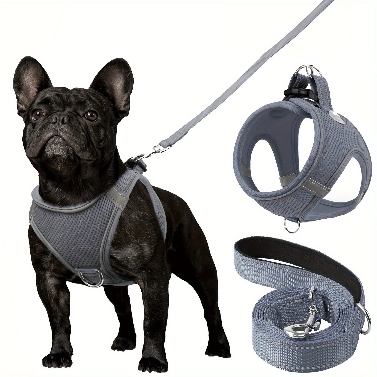 Leo's Harness and Leash Set
