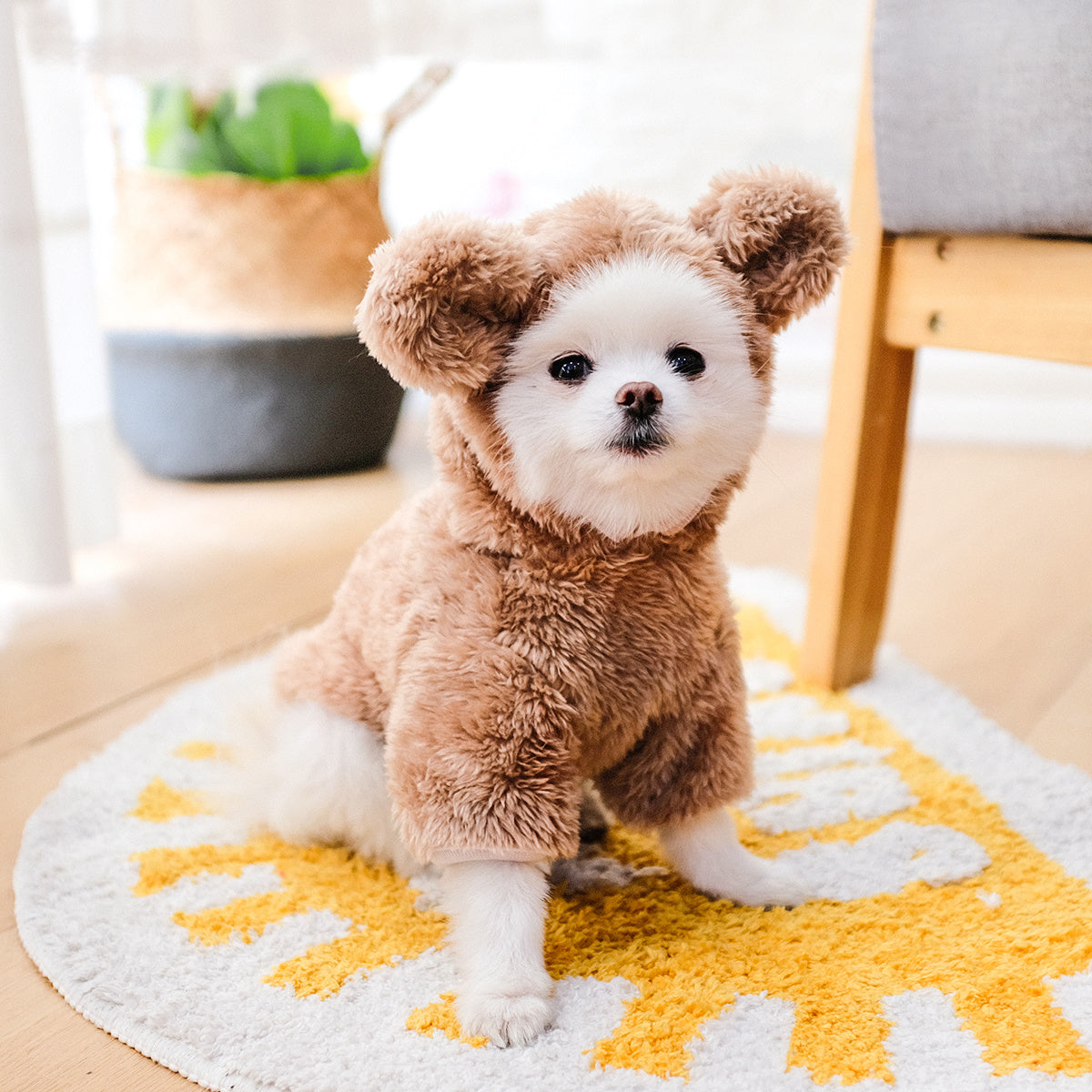 Warm Teddy Bear Pet Costume