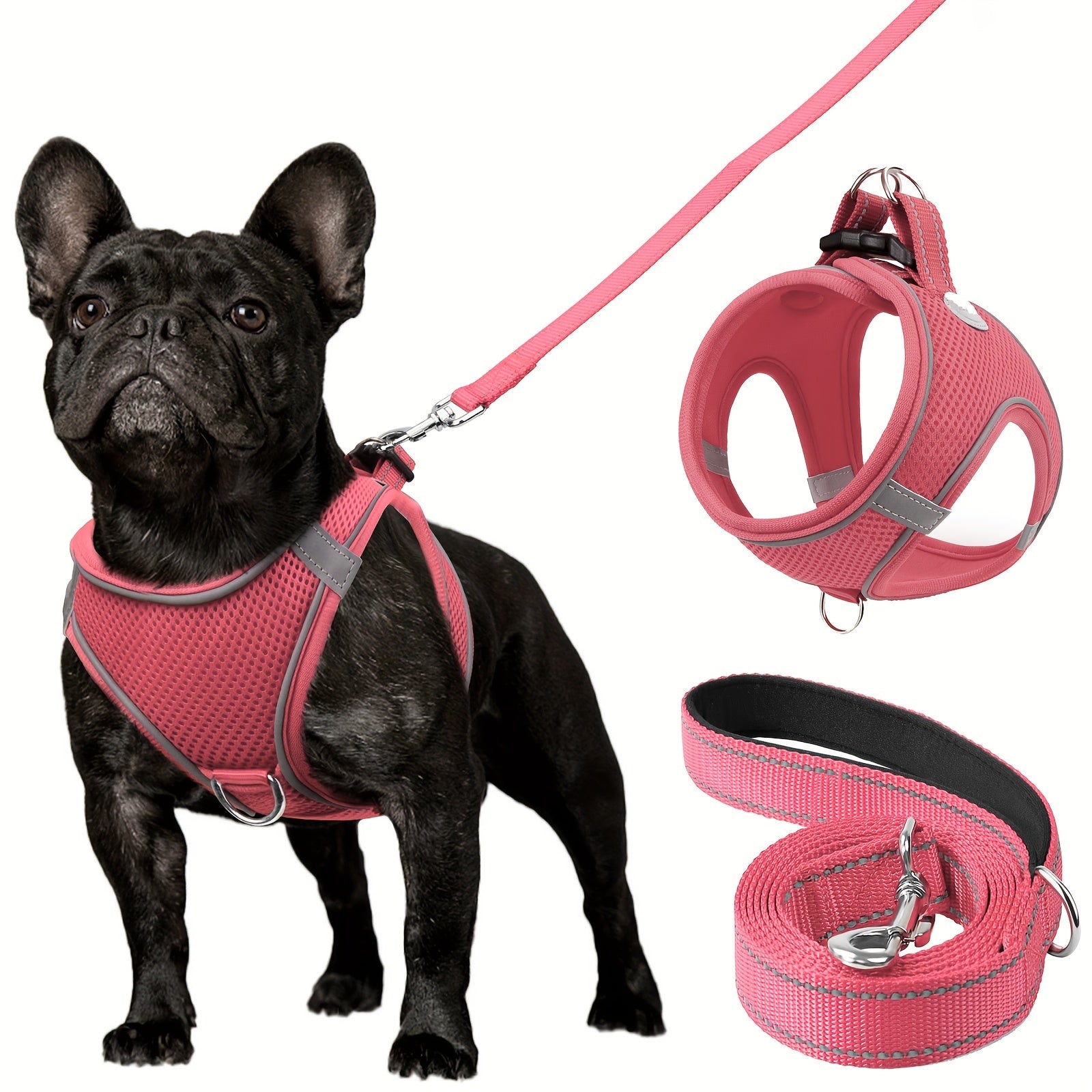 Leo's Harness and Leash Set
