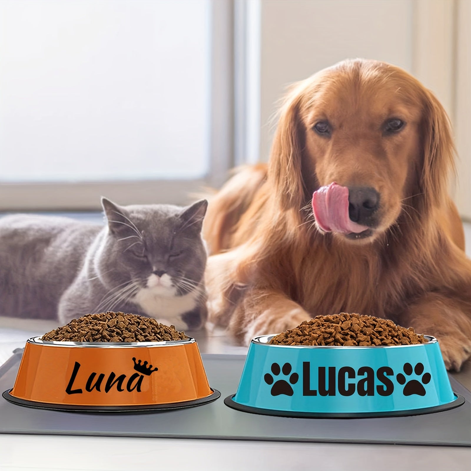 Customizable Stainless Steel Bowl