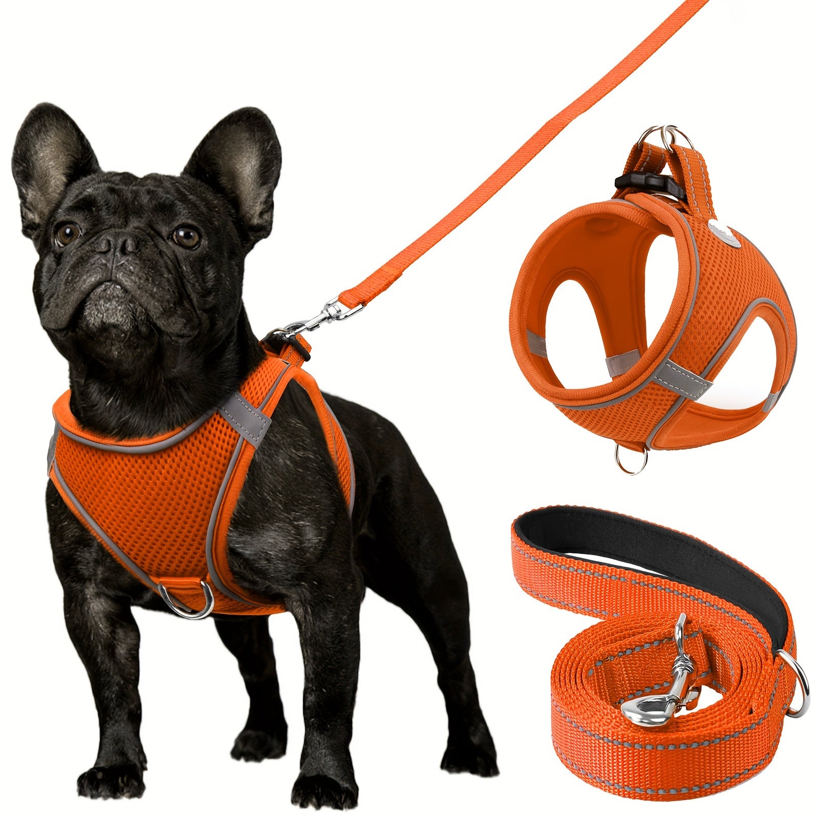 Leo's Harness and Leash Set