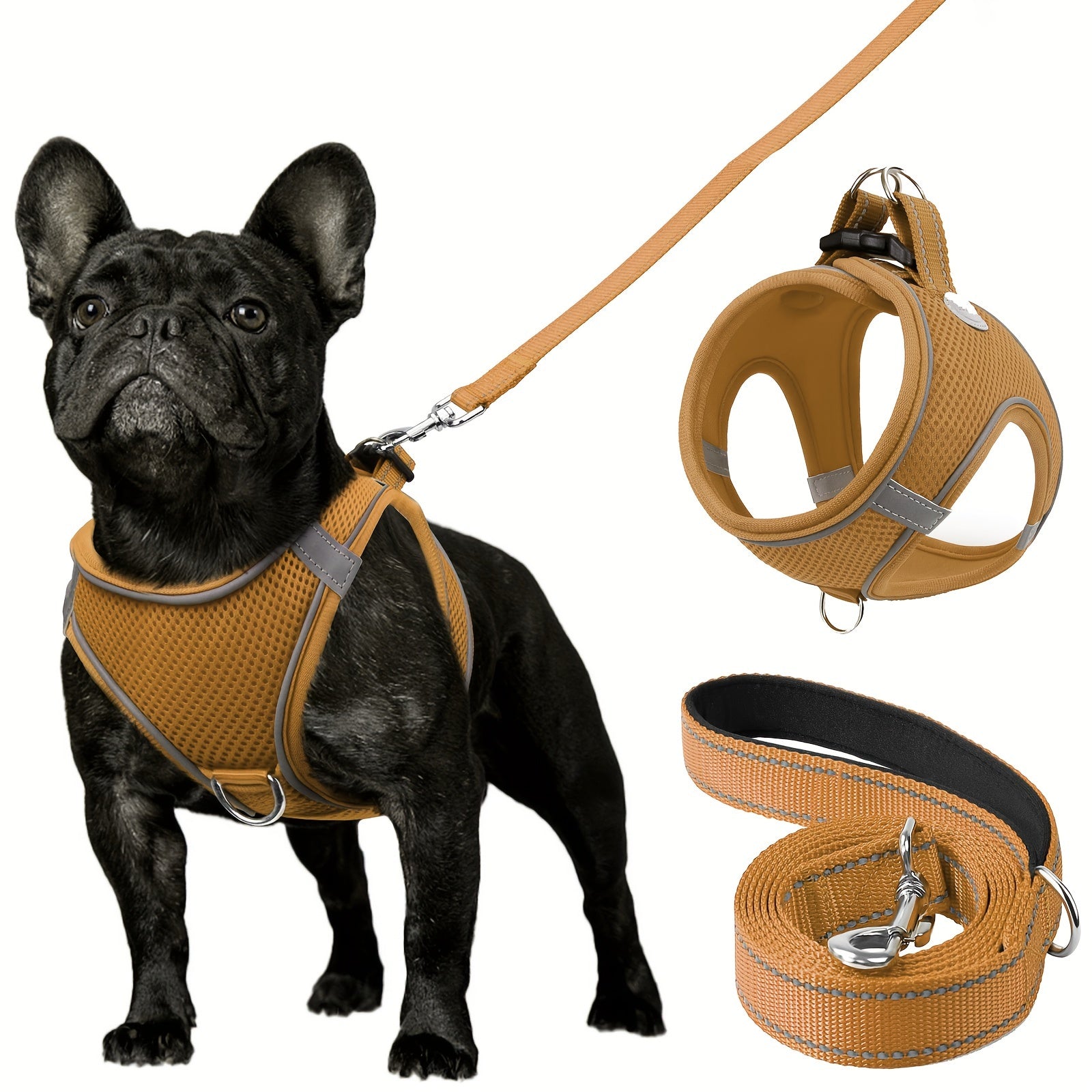 Leo's Harness and Leash Set