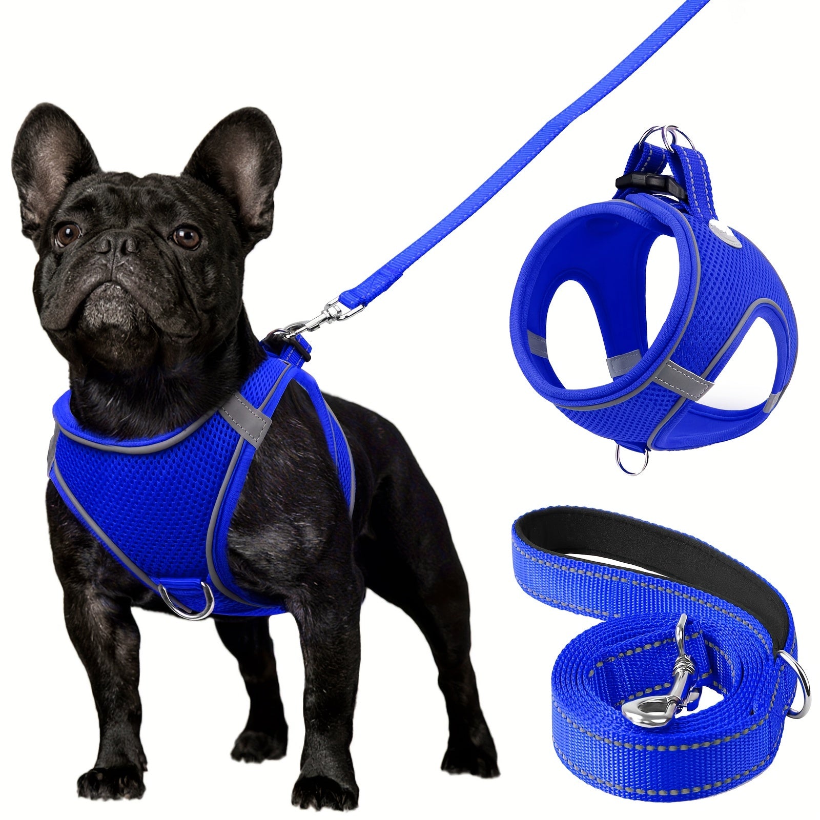 Leo's Harness and Leash Set